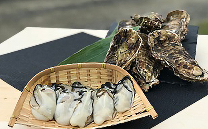 国内消費拡大求む】『漁師直送』 北海道 オホーツク サロマ湖産 牡蠣 むき身食べ比べ1キロと殻付き6キロ かき カキ 国産 貝付き 生牡蠣（北海道湧別町）  | ふるさと納税サイト「ふるさとプレミアム」