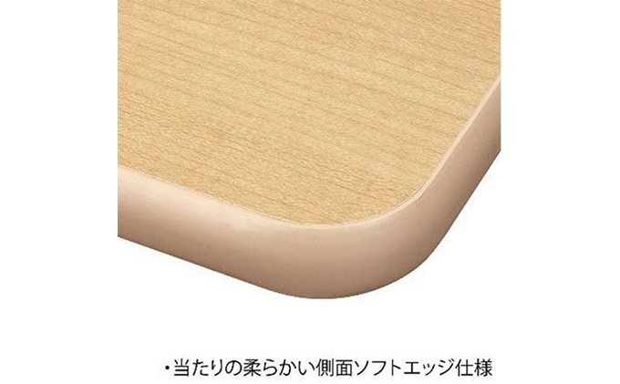 ミーティングテーブル 1200×450（愛知県愛西市） ふるさと納税サイト「ふるさとプレミアム」