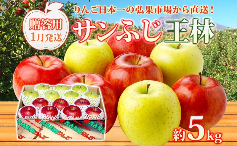 1月発送】 贈答用 サンふじ 王林 約5kg りんご 林檎 リンゴ 果物