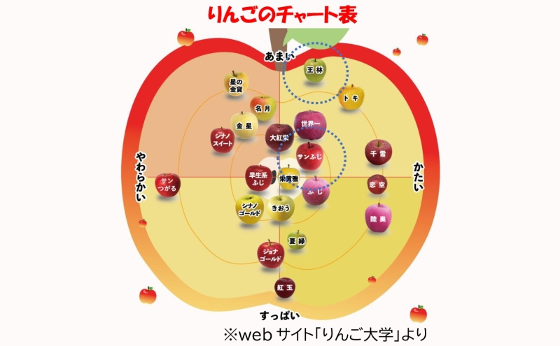 1月発送】 贈答用 サンふじ 王林 約5kg りんご 林檎 リンゴ 果物 1月発送】 贈答用 サンふじ 王林 約5kg りんご 林檎 リンゴ 果物