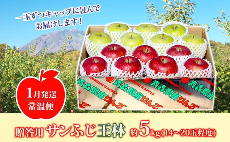Amazon.co.jp: 青森県産 贈答用りんご サンふじ＋王林 5kg