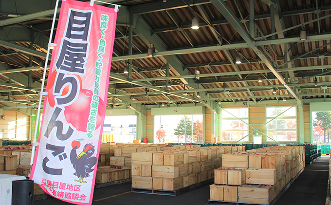 青森県西目屋村のふるさと納税 【2月発送】家庭用 サンふじ・王林詰め合わせ　約10kg【青森りんご】