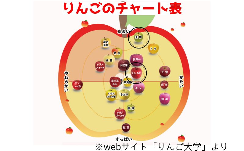 青森県西目屋村のふるさと納税 【2月発送】贈答用 サンふじ・王林詰め合わせ 約10kg【青森りんご】