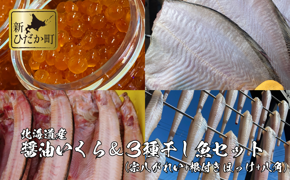 セット（北海道新ひだか町）　3種　北海道産　いくら　400g　干し魚　かれい　ほっけ　八角　ふるさと納税サイト「ふるさとプレミアム」