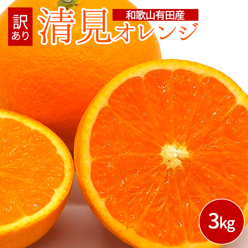 DI6011_和歌山県有田産 清見オレンジ 3kg 訳あり