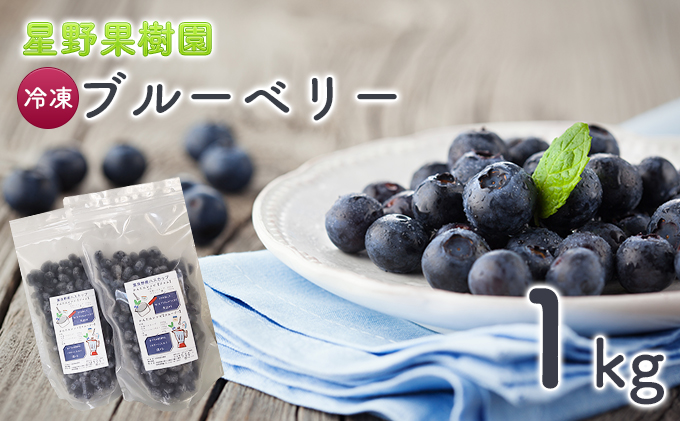 冷凍ブルーベリー約1kg（北海道富良野市）　星野果樹園　ふるさと納税サイト「ふるさとプレミアム」