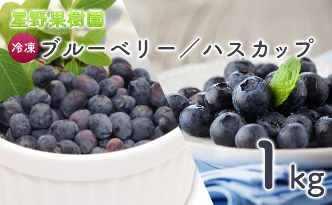 冷凍ブルーベリー＆ハスカップ約1kg（北海道富良野市）　星野果樹園　ふるさと納税サイト「ふるさとプレミアム」