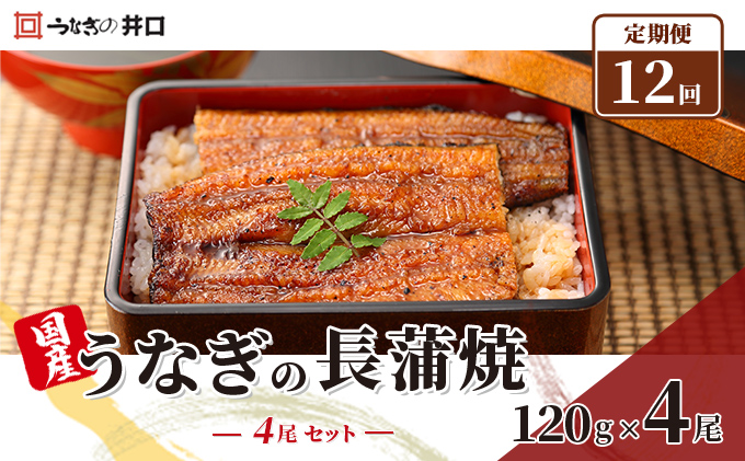 ふるさと納税 定期便12回「うなぎの井口」長蒲焼4尾セット 静岡県浜松市