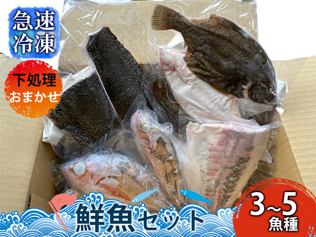 下処理おまかせ鮮魚セット（3～5魚種）