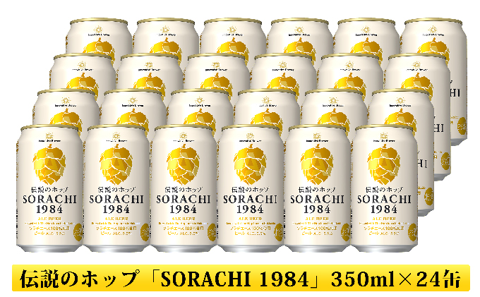 ビール 飲み比べセット SORACHI VS クラシック 48本 (各350ml×24本