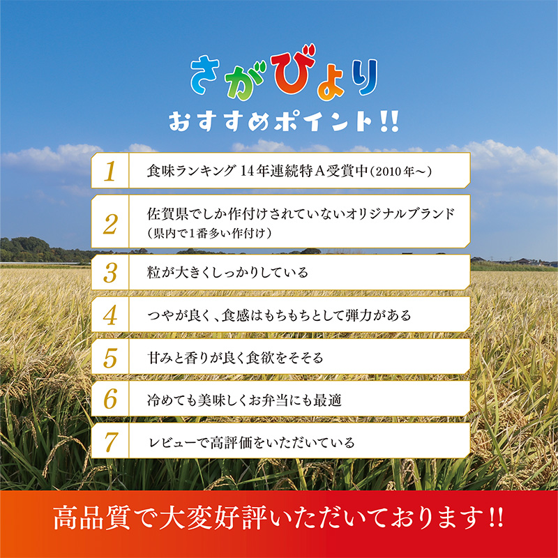 佐賀県神埼市のふるさと納税 【令和6年産 新米】さがびより 精米 10kg【特A受賞米 米 5kg×2袋 お米 コメ こめ 国産 美味しい ブランド米 人気 ランキング】(H015185)