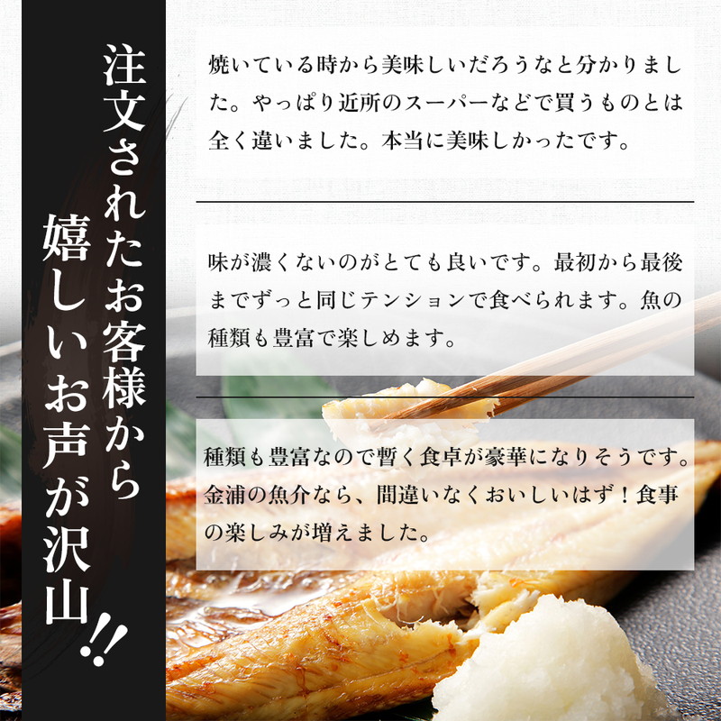 秋田県にかほ市のふるさと納税 《定期便》12ヶ月連続 干物セット 10品程度(5～8種)「秋田のうまいものセットA」 サーモン 魚貝類 一夜干し