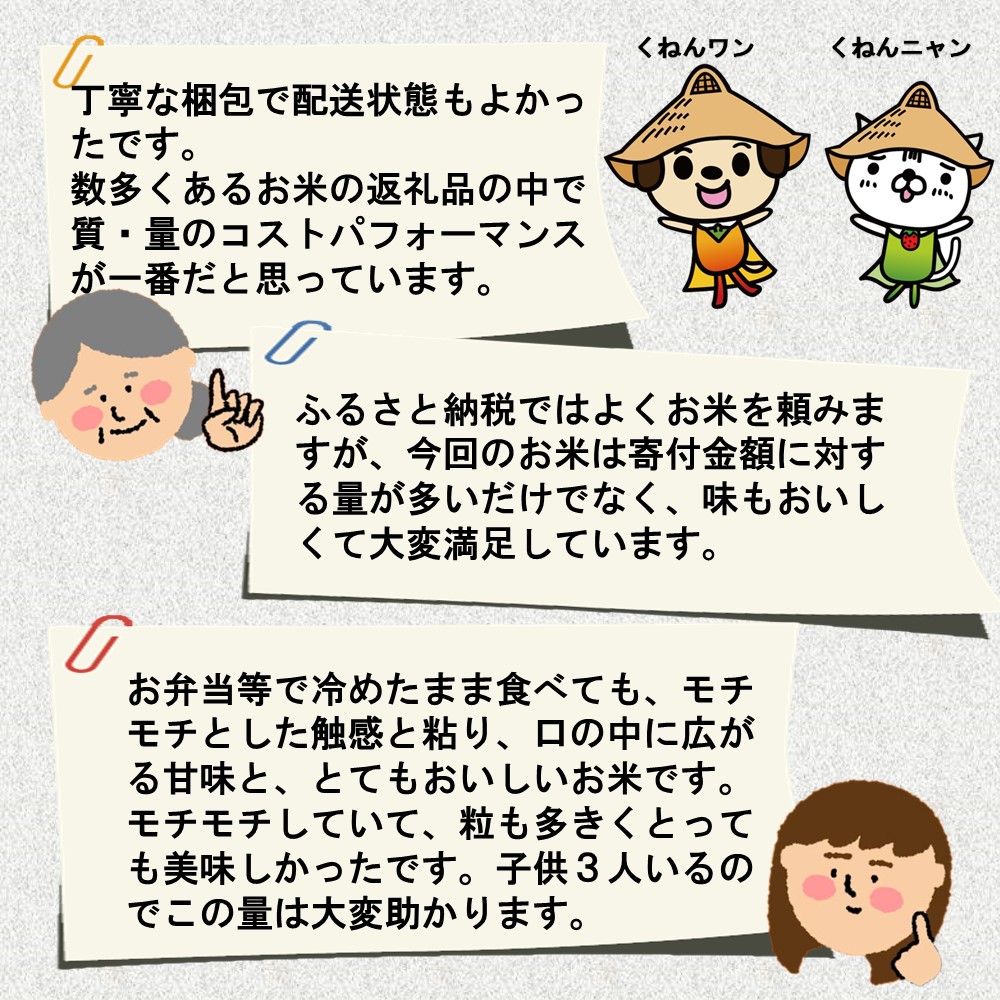 令和5年産 さがびより 10kg【米 5kg ×2袋 お米 コメ こめ 国産 美味しい ブランド米 人気 ランキング】(H015147)|株式会社　 増田米穀