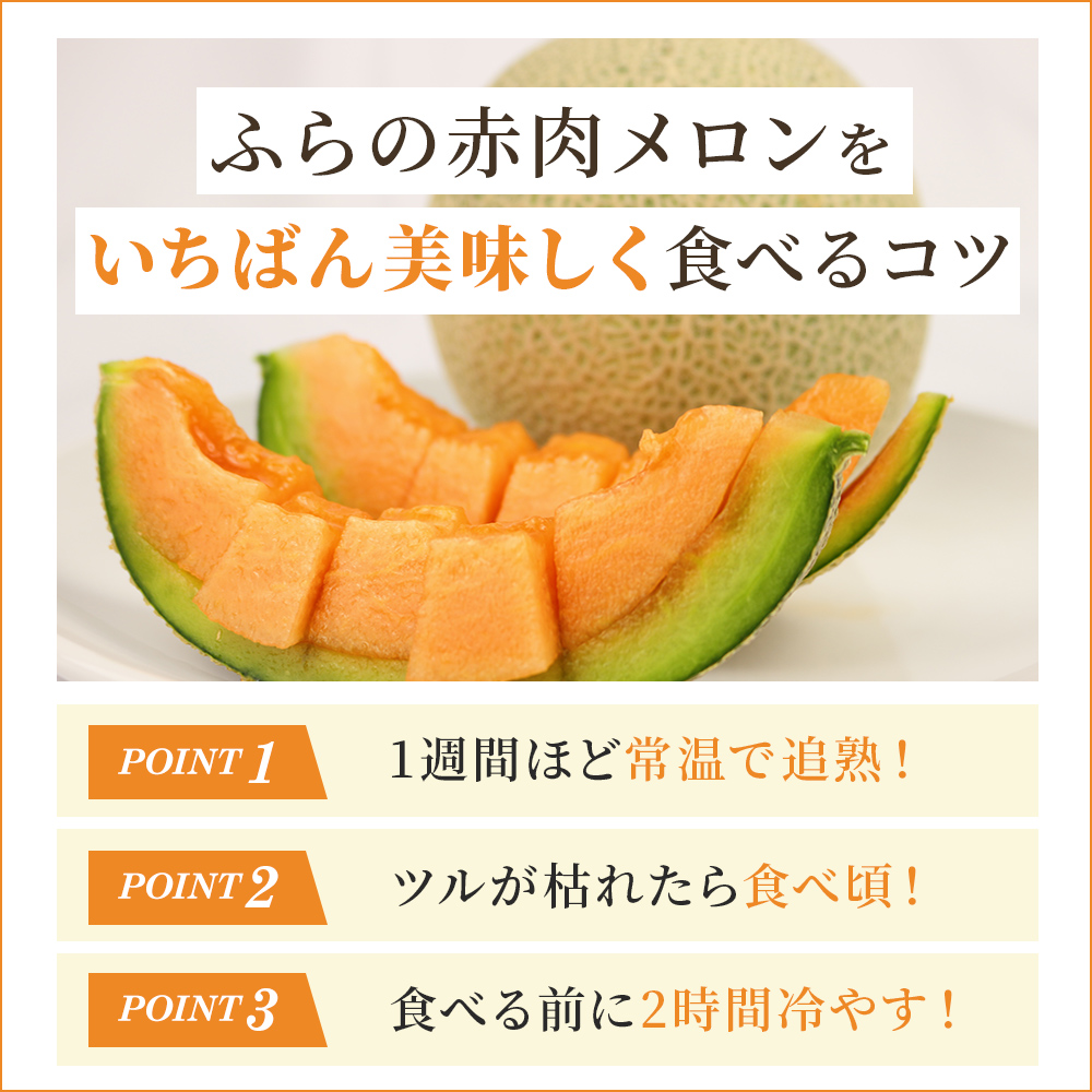 北海道上富良野町のふるさと納税 【 2025年発送 先行予約 】 ふらの 赤肉メロン 2kg～2.6kg 2玉 厳選 秀品 特4サイズ セット めろん 果物 フルーツ デザート くだもの 旬の果物 旬のフルーツ ファーム富良野 北海道