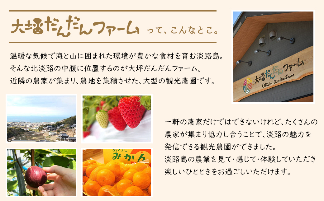 兵庫県淡路市のふるさと納税 淡路島の温暖な気候で育ったいちご・いちじく・みかんを使った３種のフルーツジャムセット
