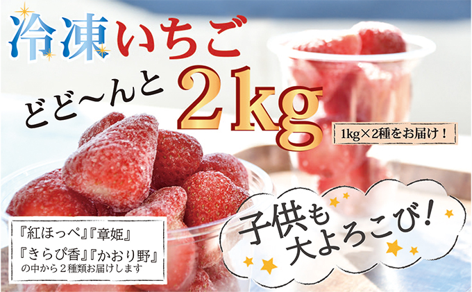冷凍いちご　1kg×2種類（静岡県藤枝市）　ふるさと納税サイト「ふるさとプレミアム」