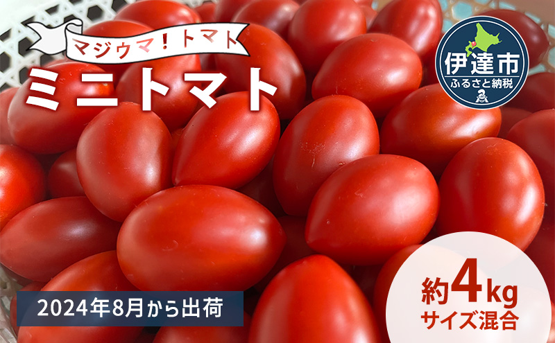 ◆2023年8月より順次出荷◆北海道 伊達 岡本園芸 ミニトマト 高糖度 約4kg【マジウマ！トマト】　