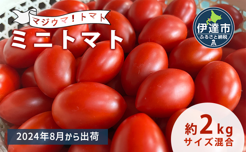 ◆2023年8月より順次出荷◆北海道 伊達 岡本園芸 ミニトマト 高糖度 約2kg【マジウマ！トマト】
