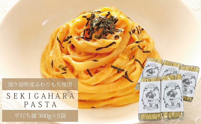 【岐阜県関ケ原町】関ケ原町産ふわりもち使用 関ケ原パスタ(平打ち麺)計1500g(300g×5袋 約15人前)