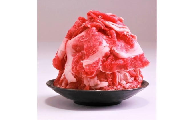 定期便 6ヶ月 牛肉 A4～A5 切り落とし 合計1000g 博多和牛（500g