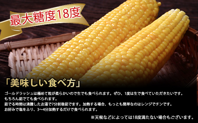 北海道富良野市のふるさと納税 【2025年8月～発送】とうもろこし ゴールドラッシュ 10本 北海道 富良野産 (スイートベジタブルファクトリー) とうもろこし とうきび コーン 野菜 新鮮 甘い ジューシー 贈り物 ギフト 道産 直送 ふらの