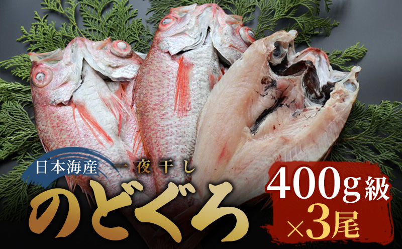 日本海産　のどぐろ干物　400g級×3尾