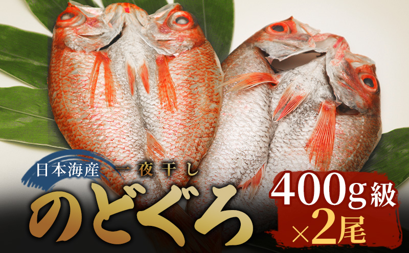 日本海産　のどぐろ干物　400g級×2尾