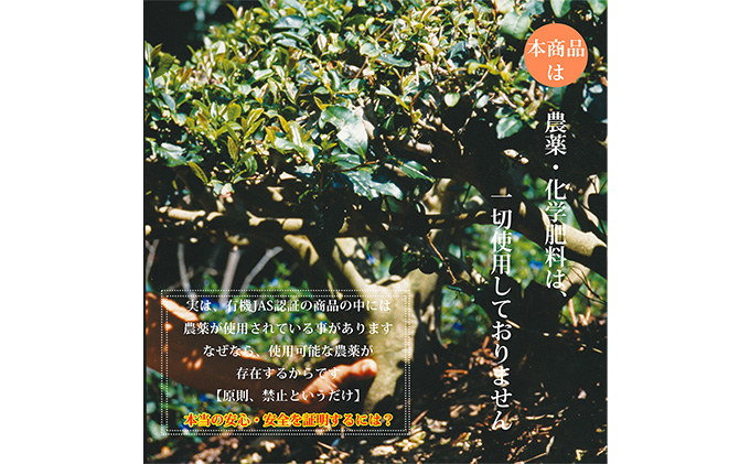 完全有機栽培】上煎茶A30本セット（有機JAS）（静岡県藤枝市） ふるさと納税サイト「ふるさとプレミアム」