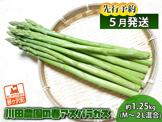 春芽アスパラ500グラム（L〜2L混合） - 野菜