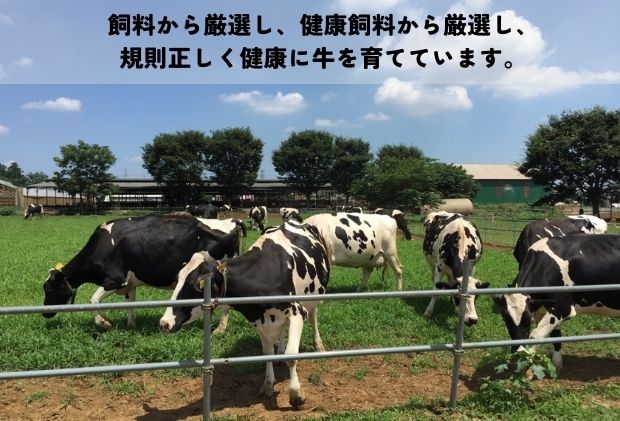 埼玉県日高市のふるさと納税 アイス 彩の国優良ブランド 加藤牧場 ノンホモ低温殺菌牛乳を使用した甘みとコク ジェラート 18個セット