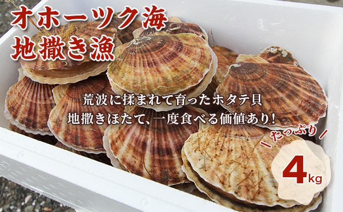 オホーツク産 ずっしり大きな『活』 ほたて 4kg（17～24枚）12月発送限定 【第八恵祐丸漁業】 サロマ湖 北海道 オホーツク 佐呂間町 ホタテ 帆立 殻付き 海鮮 魚介