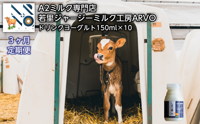 【3ヵ月定期便】ジャージー牛 A2ミルク ドリンクヨーグルト150ml×10本［中谷牧場］若里ジャージーミルク工房ARVO 北海道