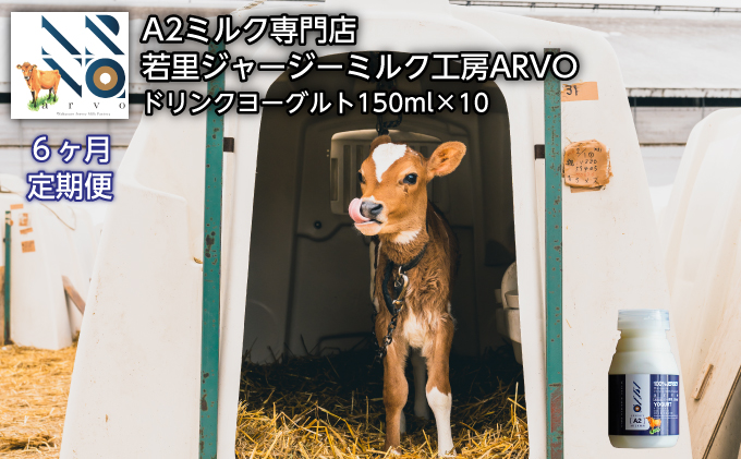 【6ヵ月定期便】ジャージー牛 A2ミルク ドリンクヨーグルト150ml×10本［中谷牧場］若里ジャージーミルク工房ARVO 北海道