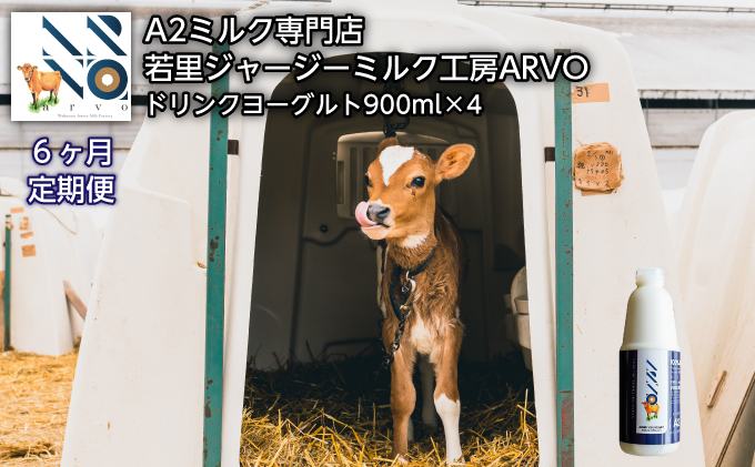 【6ヵ月定期便】ジャージー牛 A2ミルク ドリンクヨーグルト 900ml×4本［中谷牧場］若里ジャージーミルク工房ARVO 北海道