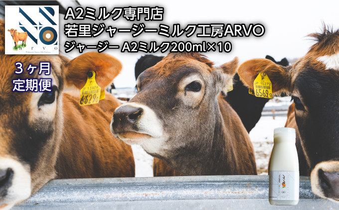 【3ヵ月定期便】ジャージー牛 A2ミルク 200ml×10本［中谷牧場］若里ジャージーミルク工房ARVO 北海道