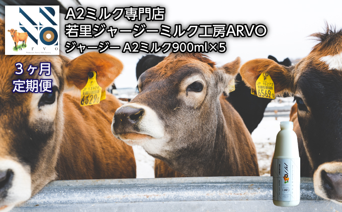 【3ヶ月定期便】ジャージー牛 A2ミルク 900ml×5本【ARVO】 北海道 オホーツク 佐呂間町 ドリンク 牛乳 ミルク 乳飲料 乳製品 定期便