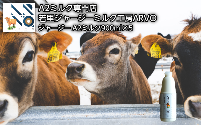 ジャージー牛 A2ミルク 900ml×5本［中谷牧場］若里ジャージーミルク工房ARVO 北海道