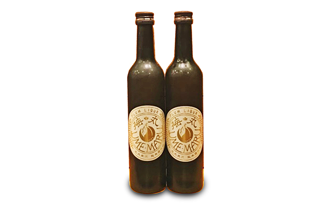 【静岡県藤枝市】梅酒 500ml × 2本 セット 志太泉 純米 梅丸 お酒 地酒 うめ アルコール 飲料 家飲み 宅飲み 飲み会 晩酌 静岡県 藤枝市