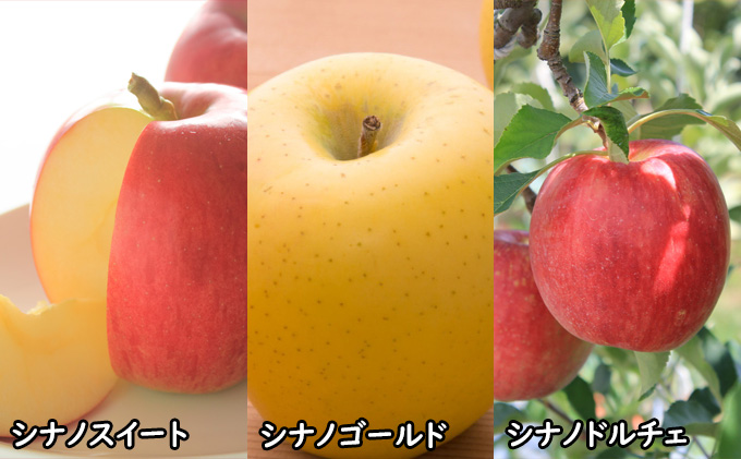 長野県小諸市のふるさと納税 りんごジュース 信州産 りんご 6品種の ジュース 詰め合わせ リンゴ 長野