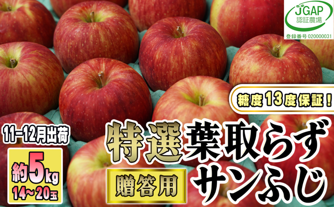 青森県産りんご「葉取らずサンつがる」　通販