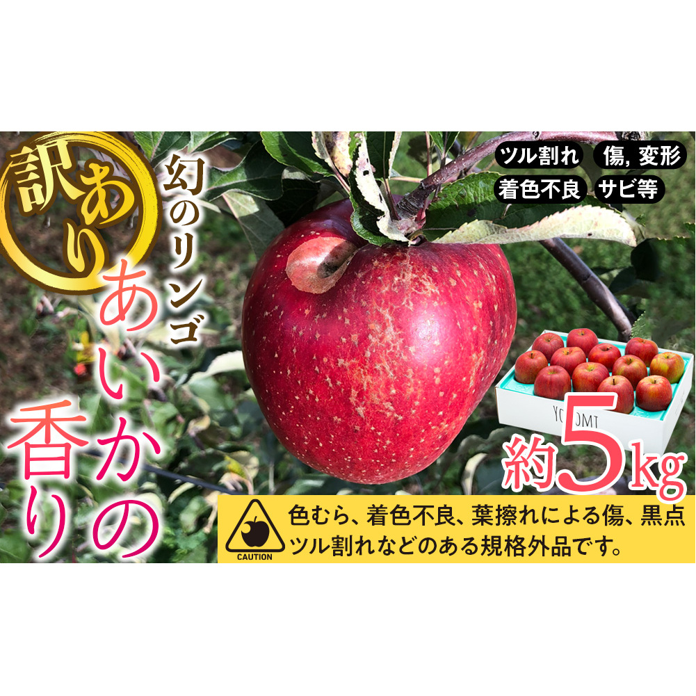 りんご あいかの香り 約5kg 家庭用 蜜入り 長野 フルーツ 果物 信州産 特産 産地直送 希少 おすすめ