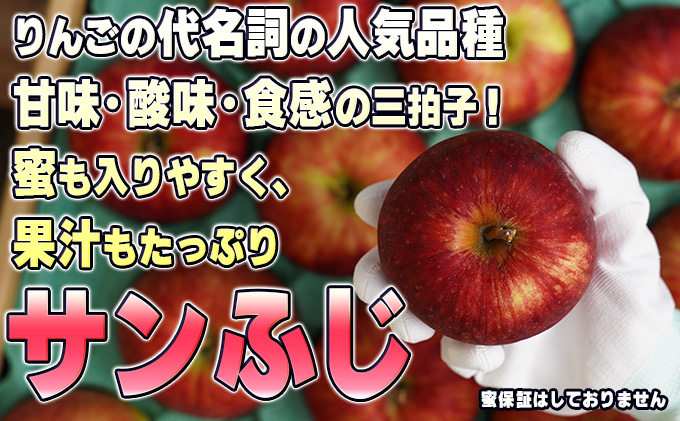 青森県鶴田町のふるさと納税 11～12月発送【糖度保証】贈答用 葉取らず サンふじ 約5kg 【特選】【鶴翔りんごGAP部会 青森県産 津軽産 リンゴ 林檎】