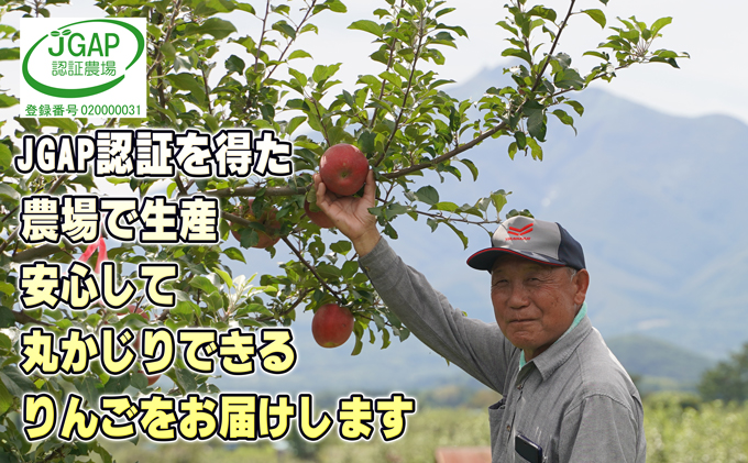 青森県鶴田町のふるさと納税 11～12月発送【糖度保証】贈答用 葉取らず サンふじ 約5kg 【特選】【鶴翔りんごGAP部会 青森県産 津軽産 リンゴ 林檎】