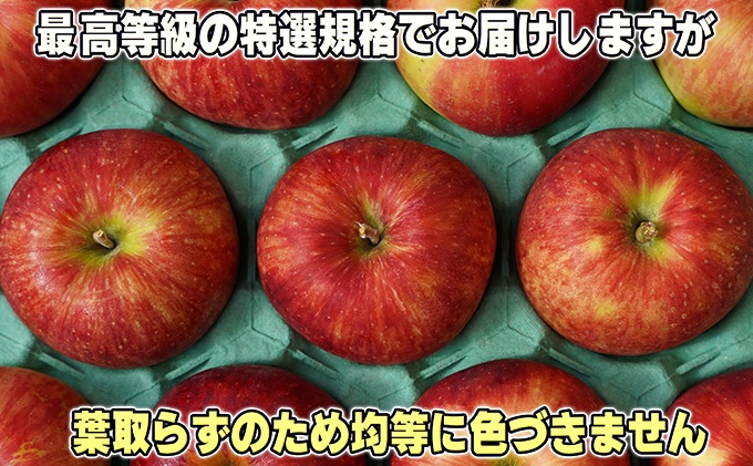 青森県鶴田町のふるさと納税 11～12月発送【糖度保証】贈答用 葉取らず サンふじ 約5kg 【特選】【鶴翔りんごGAP部会 青森県産 津軽産 リンゴ 林檎】