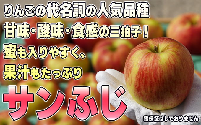 青森県鶴田町のふるさと納税 1月発送【糖度保証】家庭用 葉取らず サンふじ 約10kg【訳あり】【鶴翔りんごGAP部会 青森県産 津軽産 リンゴ 林檎】