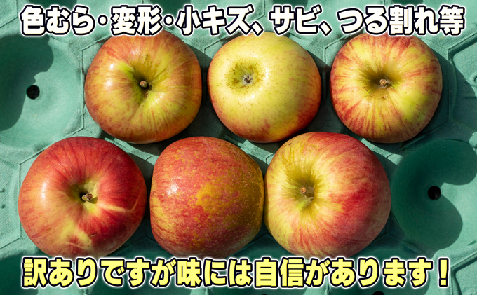 青森県鶴田町のふるさと納税 1月発送【糖度保証】家庭用 葉取らず サンふじ 約10kg【訳あり】【鶴翔りんごGAP部会 青森県産 津軽産 リンゴ 林檎】