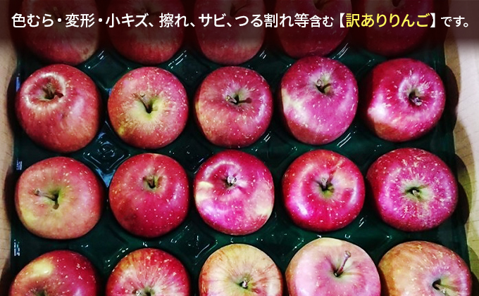 青森県産りんご　5kg 家庭用