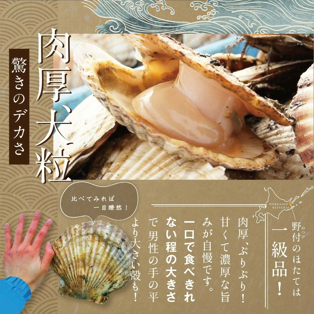 北海道別海町のふるさと納税 ★NC★【訳あり】 野付の大粒ホタテ！大粒 ほたて は別海町！【大粒ほたて】20粒前後 冷凍 ほたて貝柱