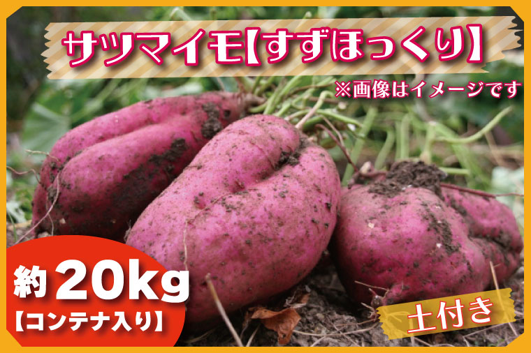 茨城県行方市のふるさと納税 BZ-29　【2024年11月より順次発送】2024年度産 さつまいも 『すずほっくり』 約20kg(コンテナ入り)