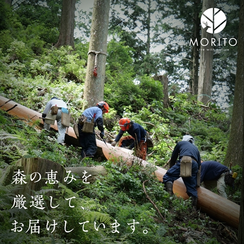 【MORITO】丸太（切り株）とアイアンスツール（杉）／森庄銘木　サイドテーブル　カフェ　キャンプ　ソファーテーブル　椅子　背割りあり　杉　天然素材　 LOGSTOOL|森庄銘木産業株式会社